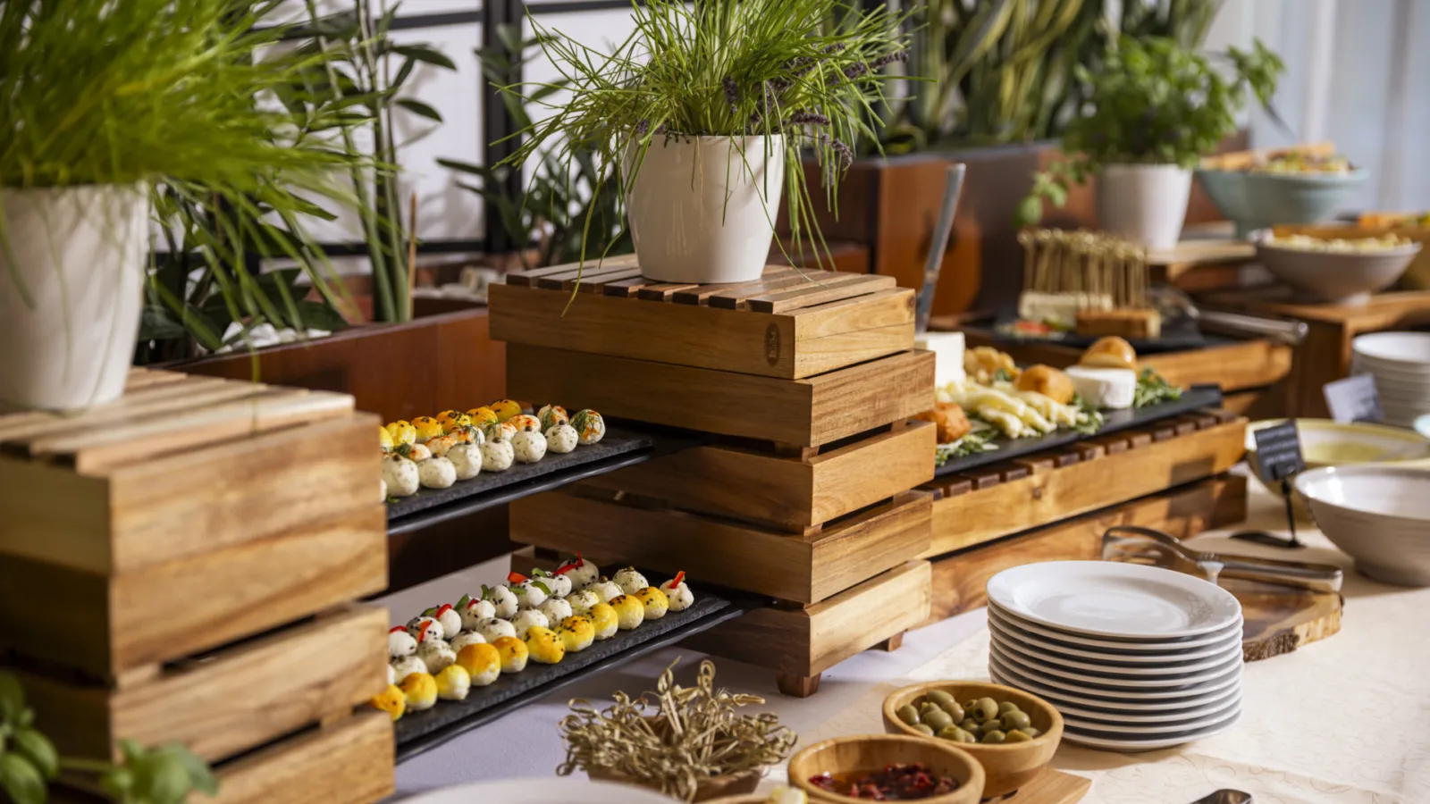 Gastronómia