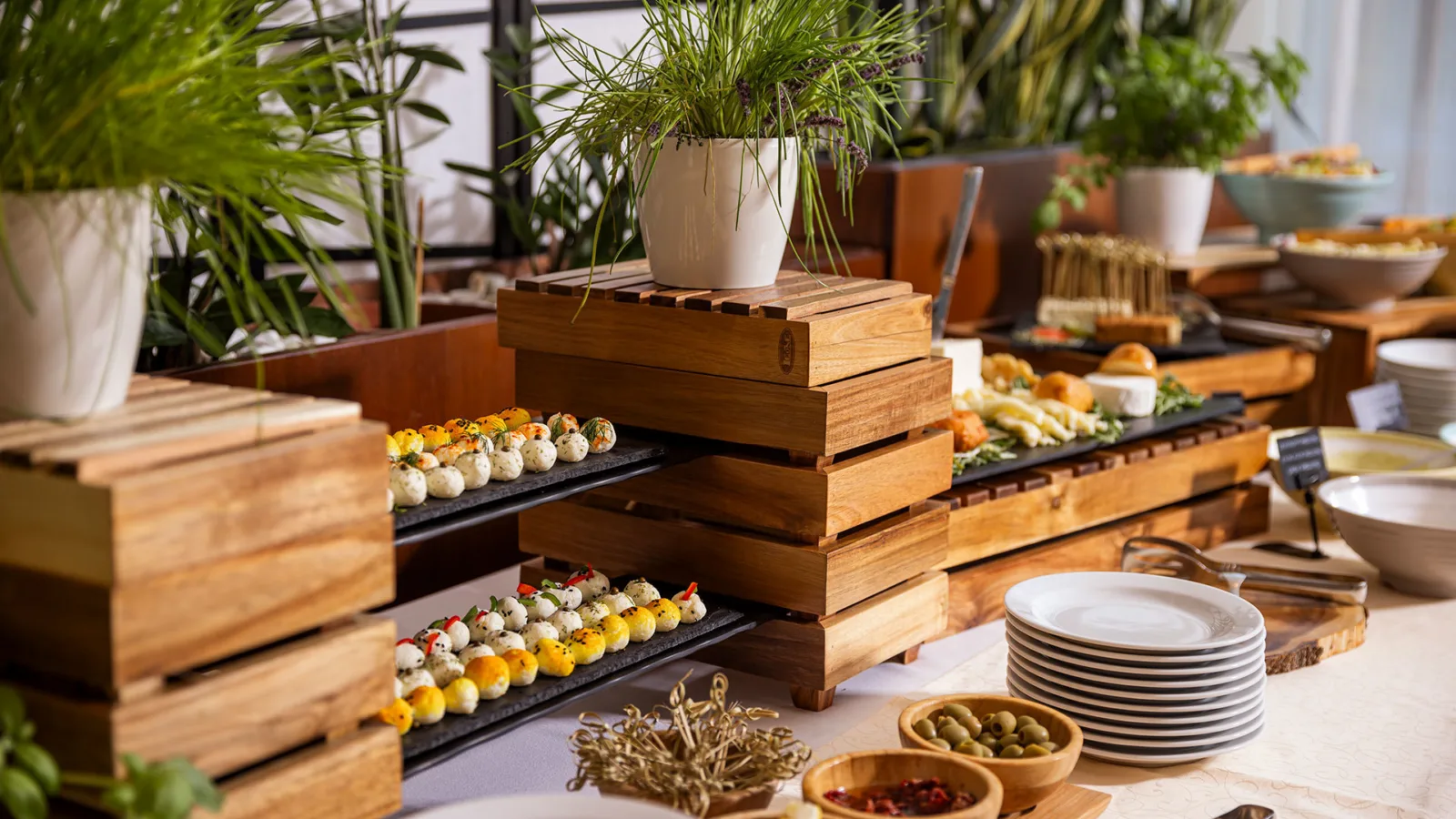 Gastronómia